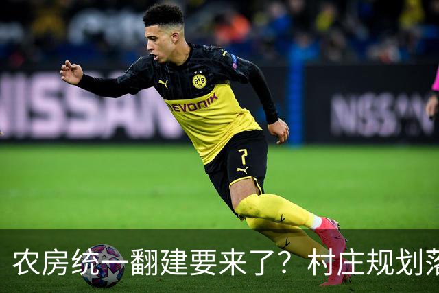 农房统一翻建要来了?村庄规划落地,这些地方下半年优先动工