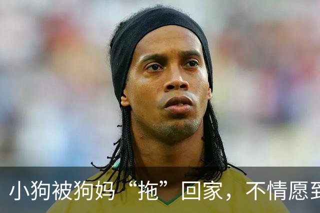 小狗被狗妈“拖”回家，不情愿到连爪子都在控诉：我还要玩！