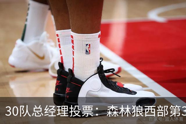 30队总经理投票：森林狼西部第3，却又被选为最难预测
